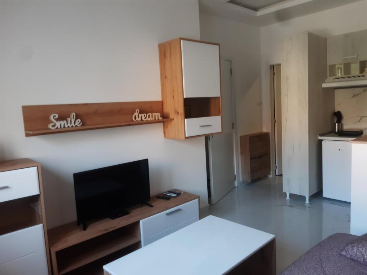 Stojanovic Apartments Ниш Екстер'єр фото