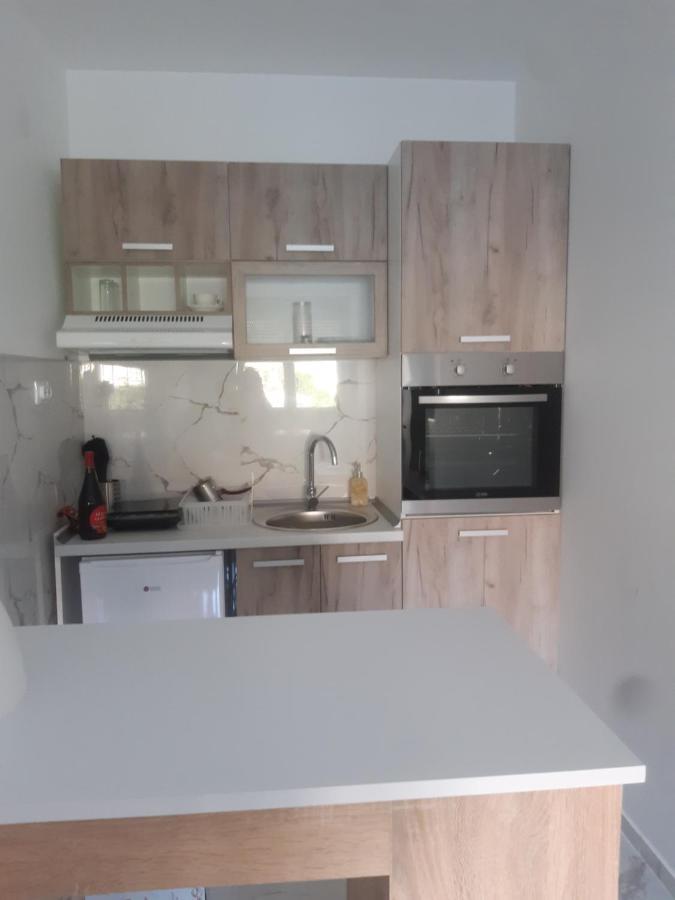 Stojanovic Apartments Ниш Екстер'єр фото